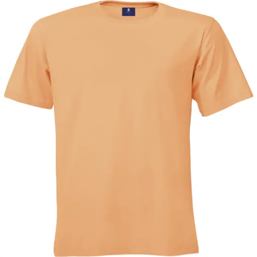 145g Barron Crew Neck T-Shirt Peach